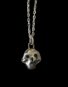 skull with jaw