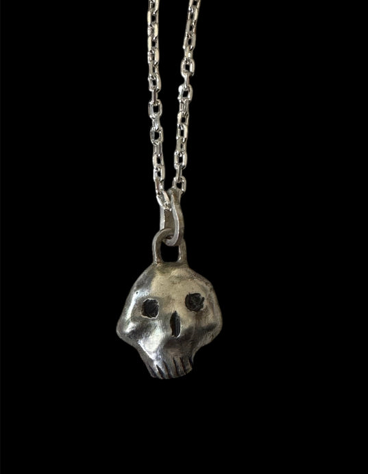 skull with jaw