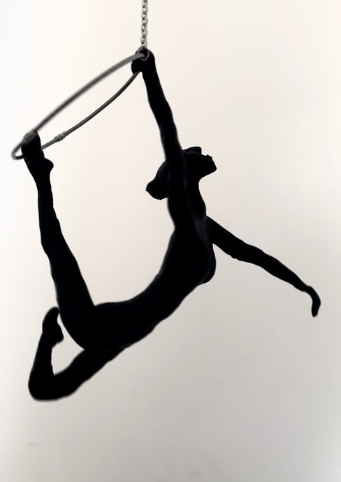 Acrobat 1