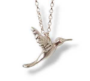 Humming Bird