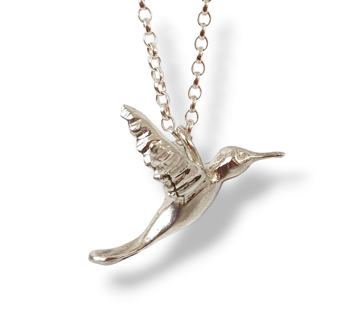 Humming Bird