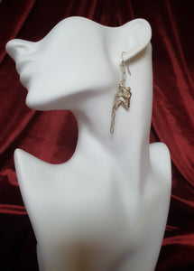 Climbers earrings